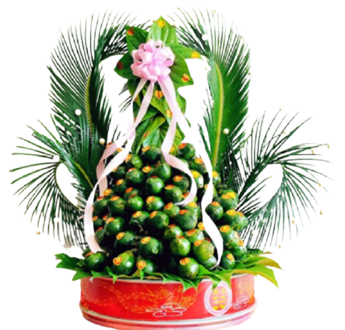 mẫu cau mới cần thơ