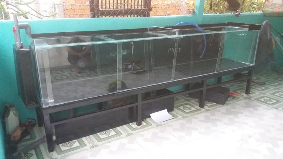 lam ho koi bang kinh co loc duoi