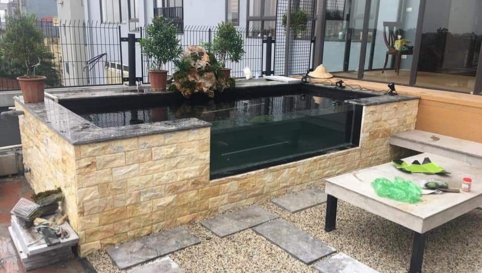 thiet ke ho ca koi can tho